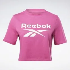Camiseta Reebok Identity -tienda de equipos de fitness camiseta reebok identity 20