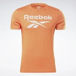 Camiseta Reebok Identity Big Logo -tienda de equipos de fitness camiseta reebok identity big logo 1