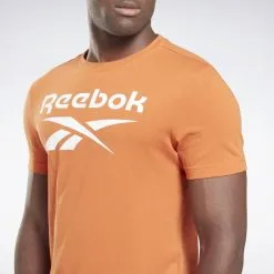 Camiseta Reebok Identity Big Logo -tienda de equipos de fitness camiseta reebok identity big logo 4