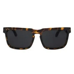 SCICON SPORTS Gallio Gafas De Sol De Estilo De Vida 11 SCICON SPORTS Gallio Gafas De Sol De Estilo De Vida -tienda de equipos de fitness gallio gafas de sol de estilo de vida 19