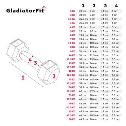 GladiatorFit Mancuerna Hexagonal De Caucho | Varios Pesos -tienda de equipos de fitness mancuerna hexagonal de caucho varios pesos 3